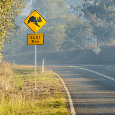 Koala crossing road sign on a smoky country Queensland road.